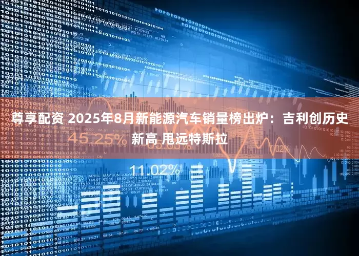 尊享配资 2025年8月新能源汽车销量榜出炉：吉利创历史新高 甩远特斯拉