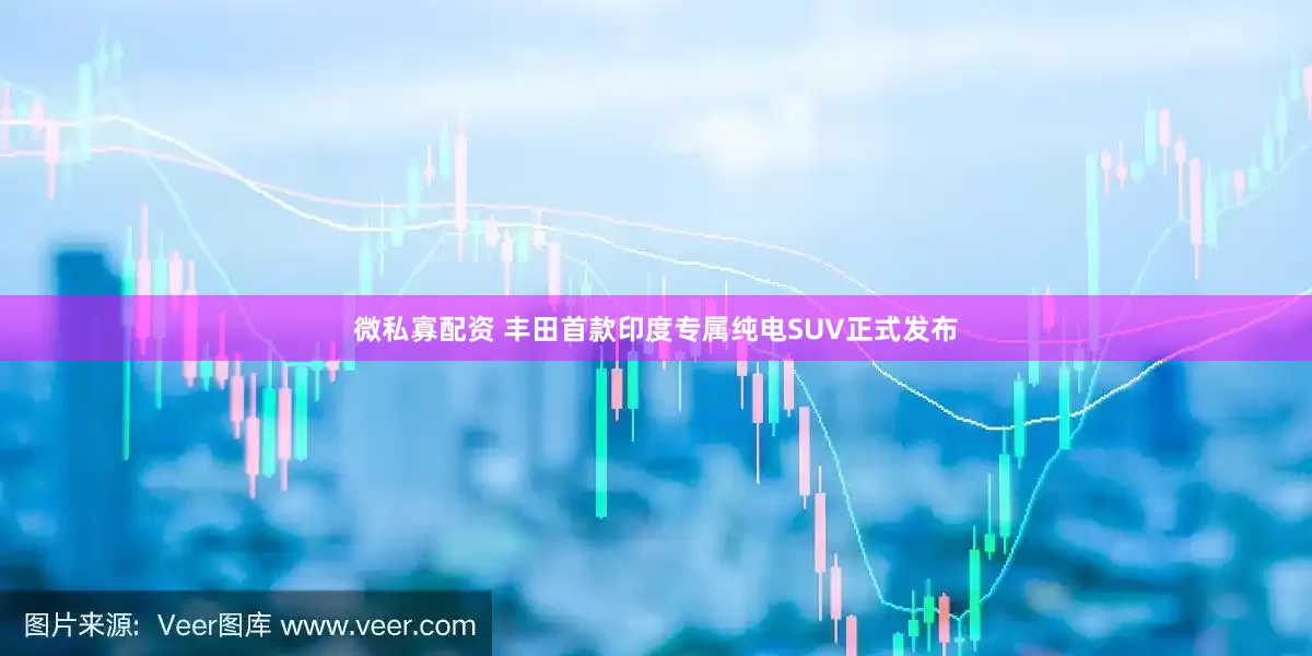 微私寡配资 丰田首款印度专属纯电SUV正式发布