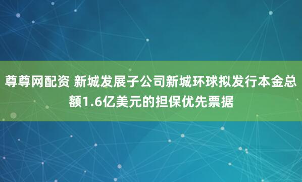 尊尊网配资 新城发展子公司新城环球拟发行本金总额1.6亿美元的担保优先票据